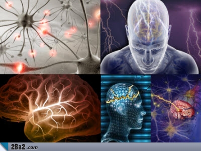 epilepsy1